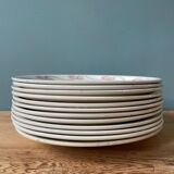 Series of 12 flat plates 1900 Terre de Fer in Longwy earthenware