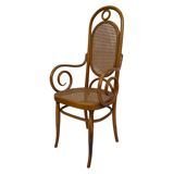 Sculptural bendwood side chair model