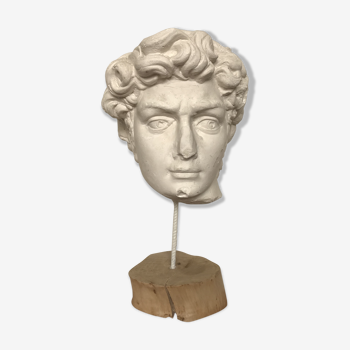 Head in plaster with wooden base