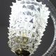 Amazing 2 Light Clear Rostrato Murano Glass Chandelier by Barovier & Toso,