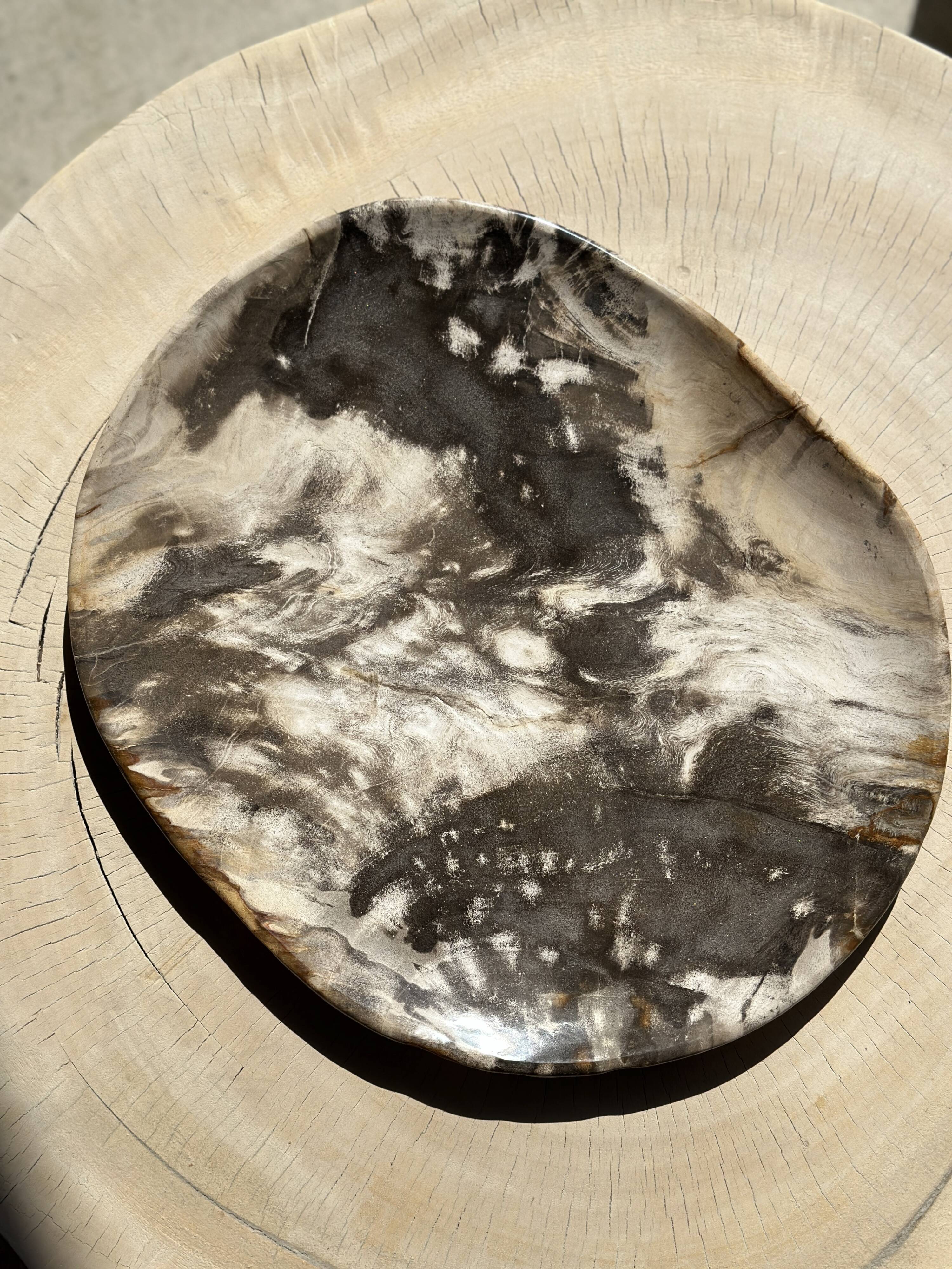 Very large pocket or dish in petrified wood