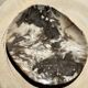 Very large pocket or dish in petrified wood