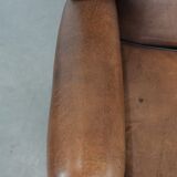 Sheepskin wingback armchair with beautiful colours in good condition