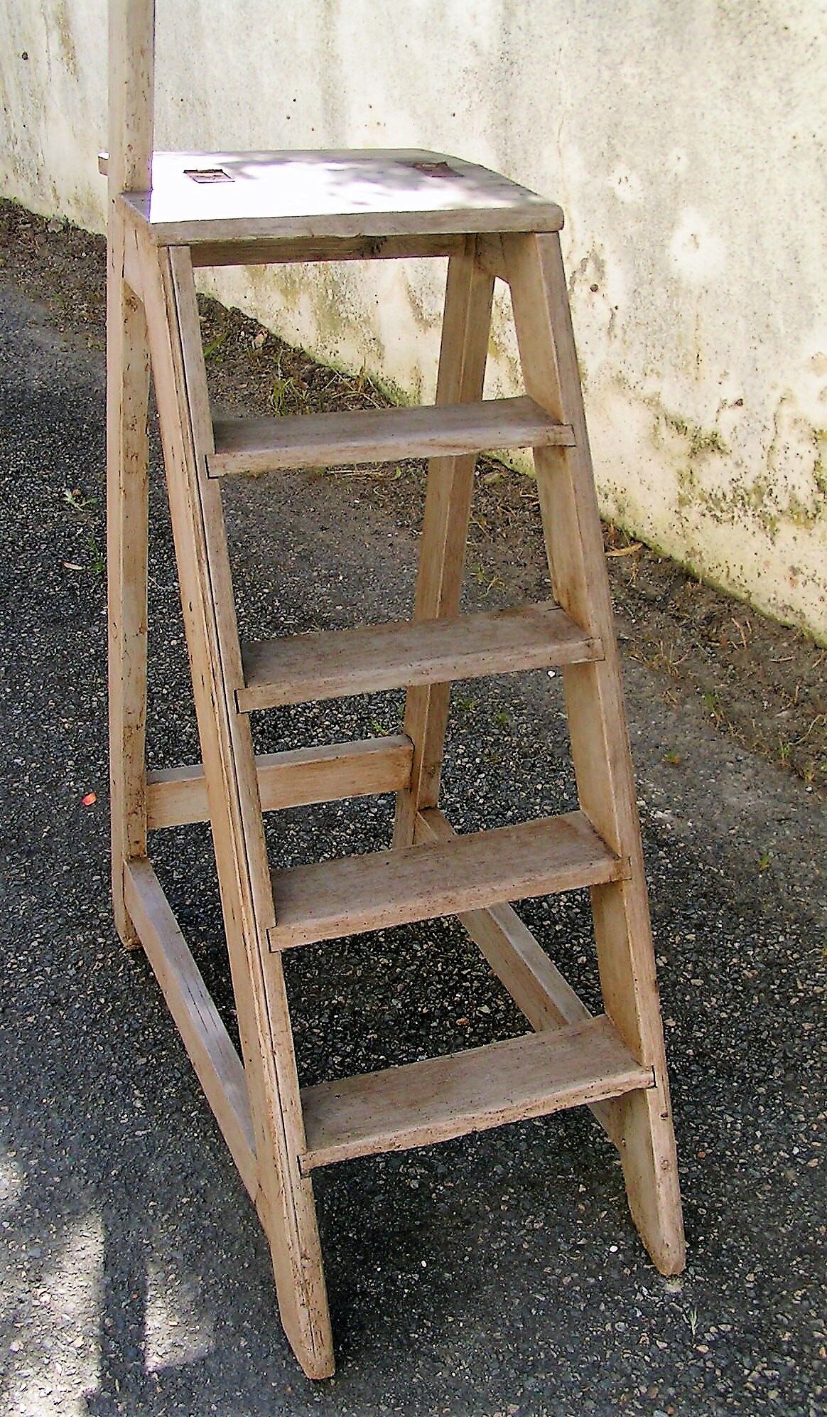 Library ladder