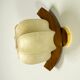 Italian "Cocoon" wall light, resin and pine wood, 1970s