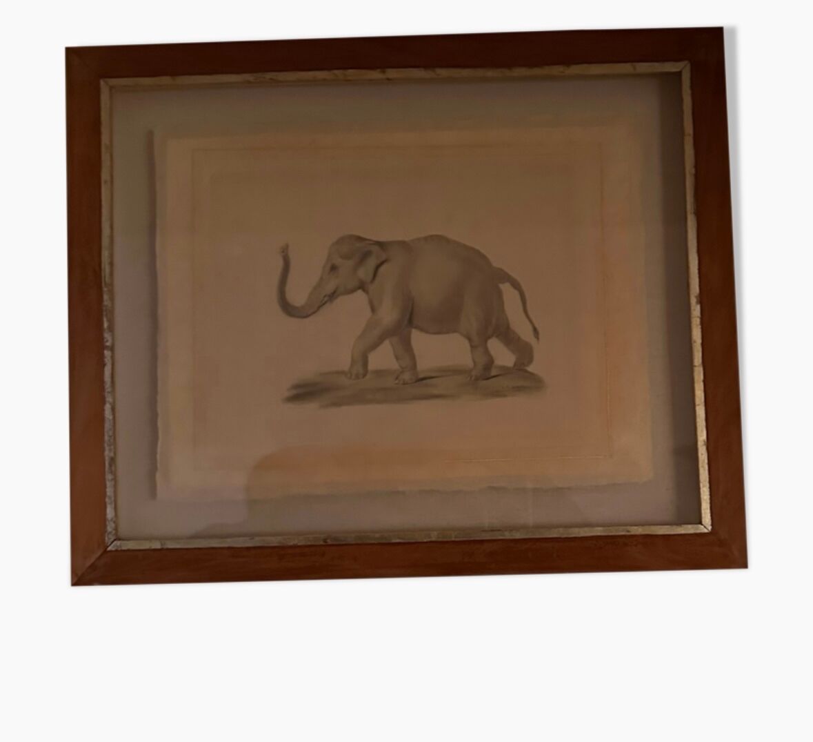 Drawing elephant framed in wooden frame