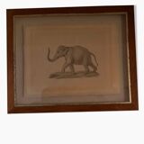 Dessin éléphant encadré dans cadre bois