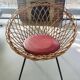 Franco Albini for  Rohe Noordwolde fauteuil