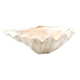 Natural white shell vide poche, vintage 1970s.