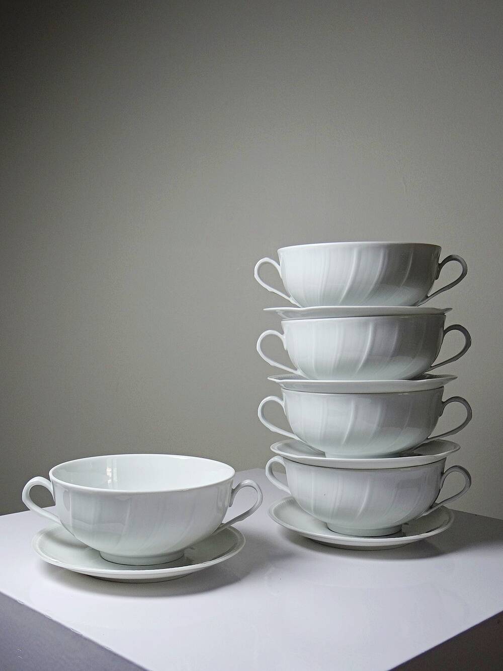 5 cups with two handles, Limoges porcelain Bernardaud "Palm"