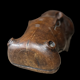 Banc hippopotame 1950