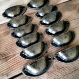 Shell Handles x12