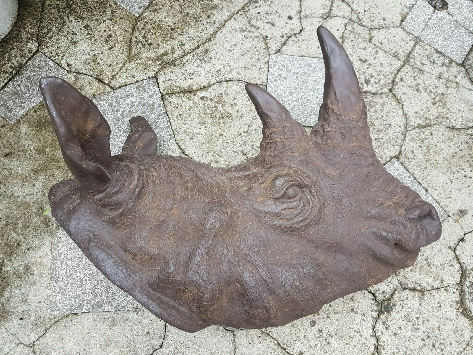 Resin rhino head