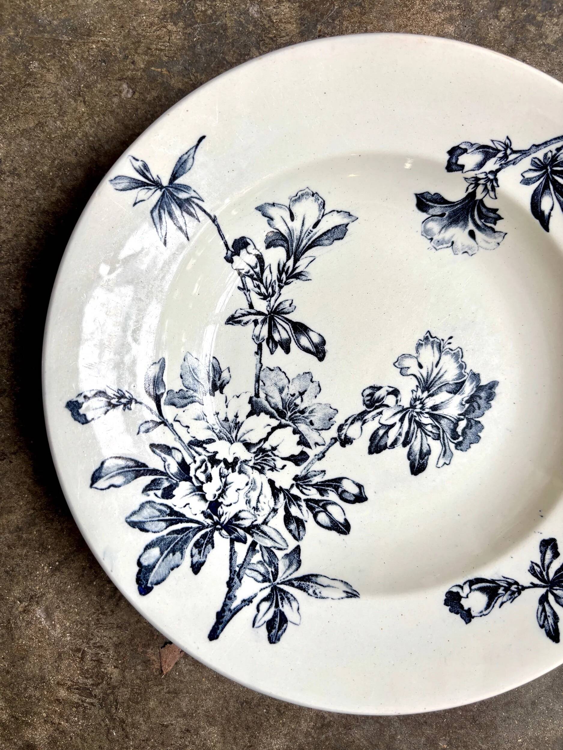 Shallow dish Lunéville in blue ironstone, service "Azalea"