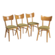 Set of 4 mid-century dining chairs from Cesky Nabytek, Czechoslovakia, 1960