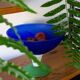 Fruit dish, fruit bowl, standing bowl, Gunnel Sahlin x Kosta Boda, Sweden