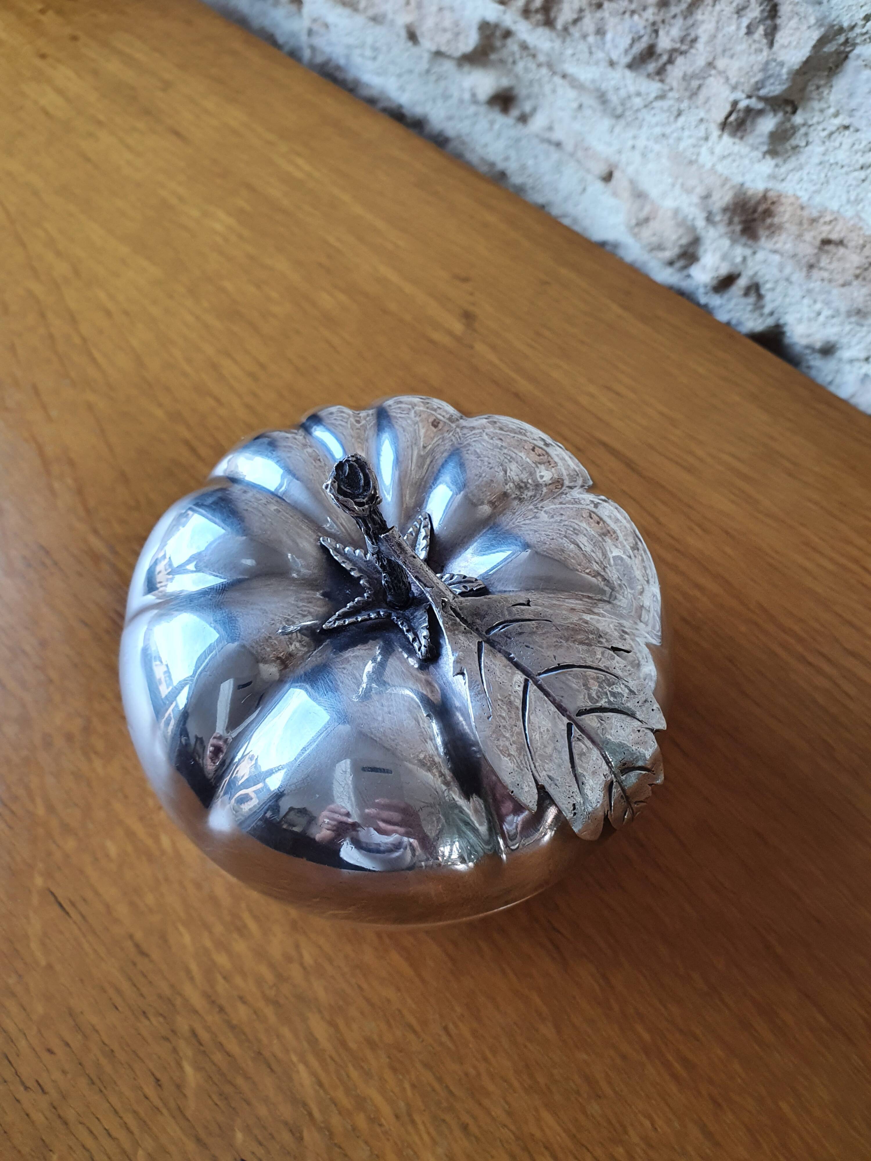 Empty silver metal pocket