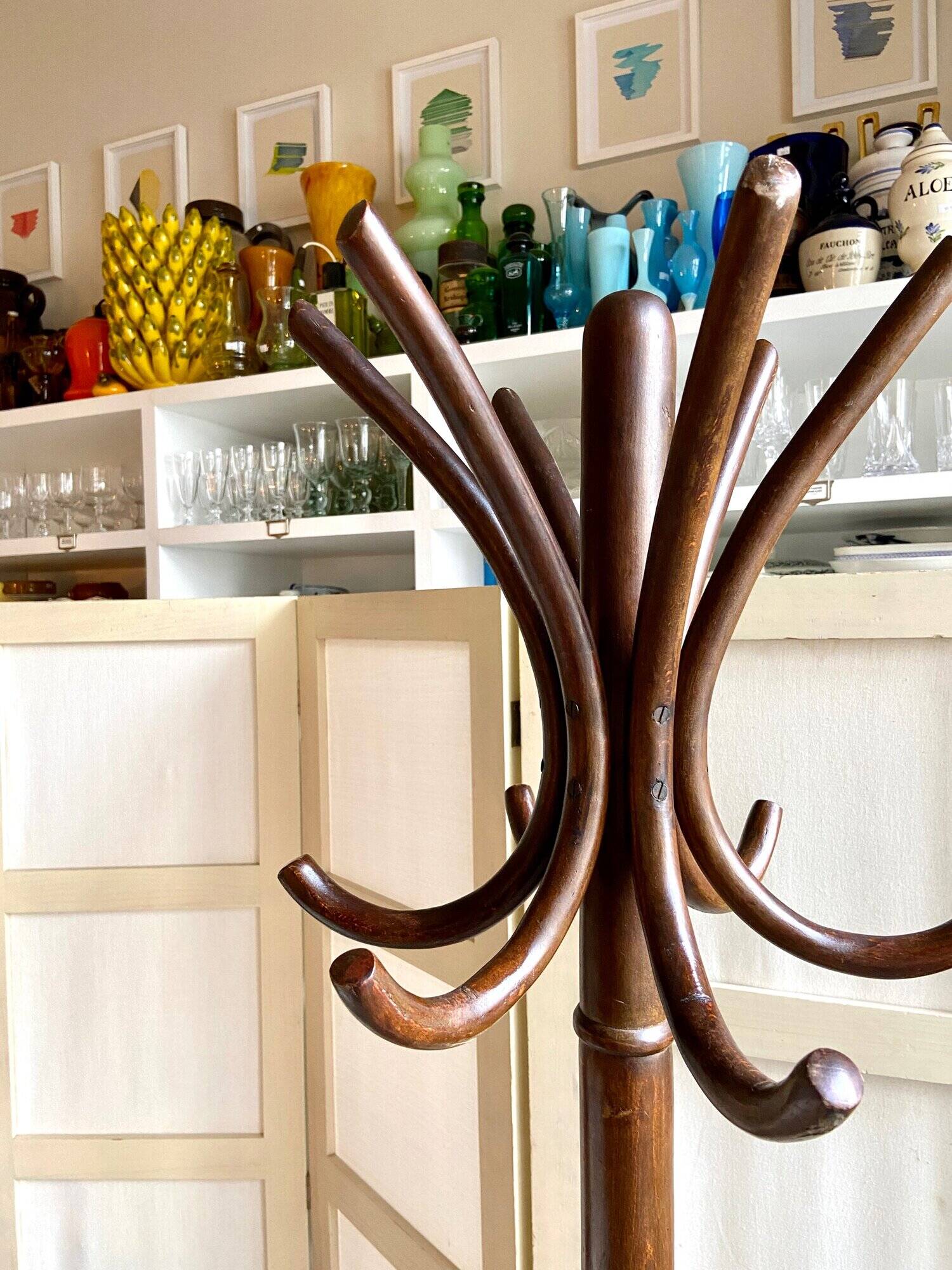 Parrot coat rack with 6 hooks in bent beech
