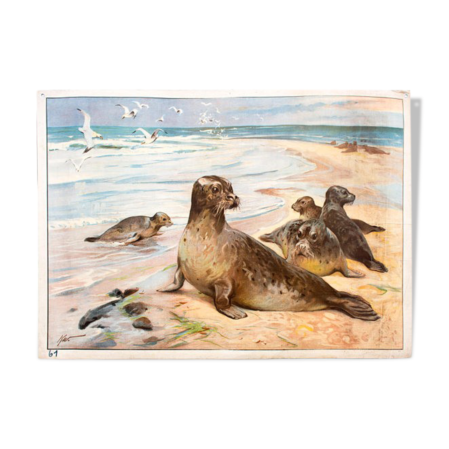 Joint, Educational Grid, 1891