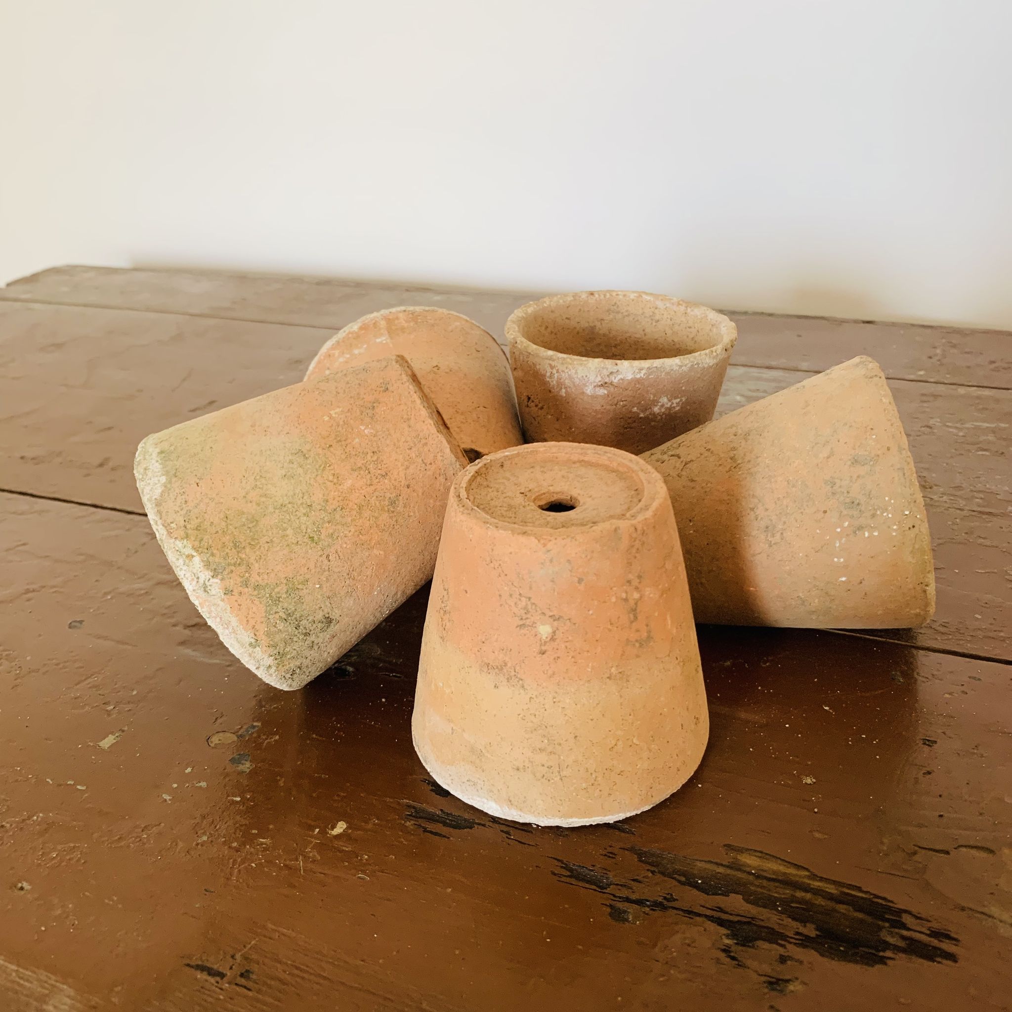 Lot de 5 pots en terre cuite circa 1930 graineterie