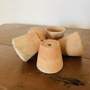 Lot de 5 pots en terre cuite circa 1930 graineterie