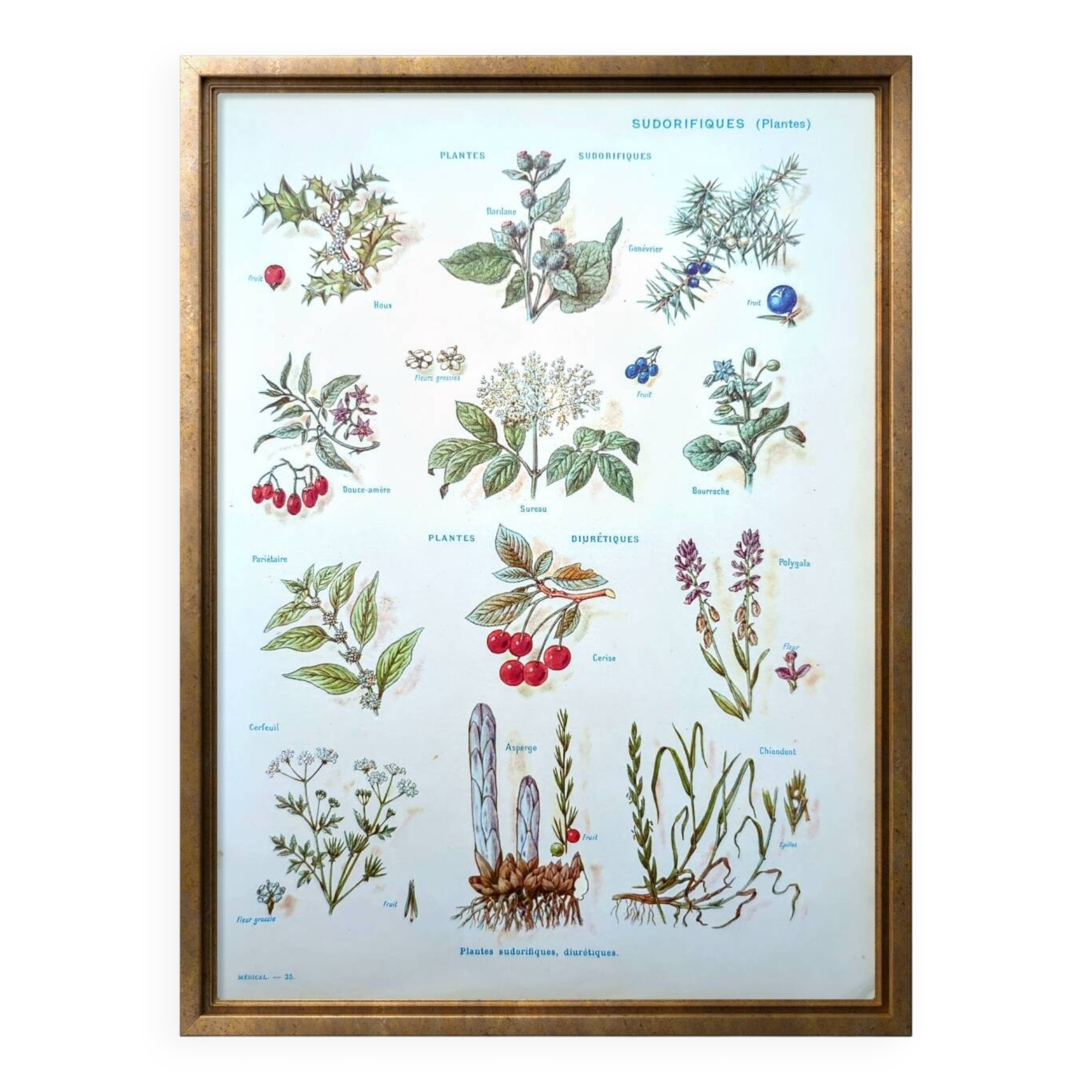 Medical plant board, printed in 1954