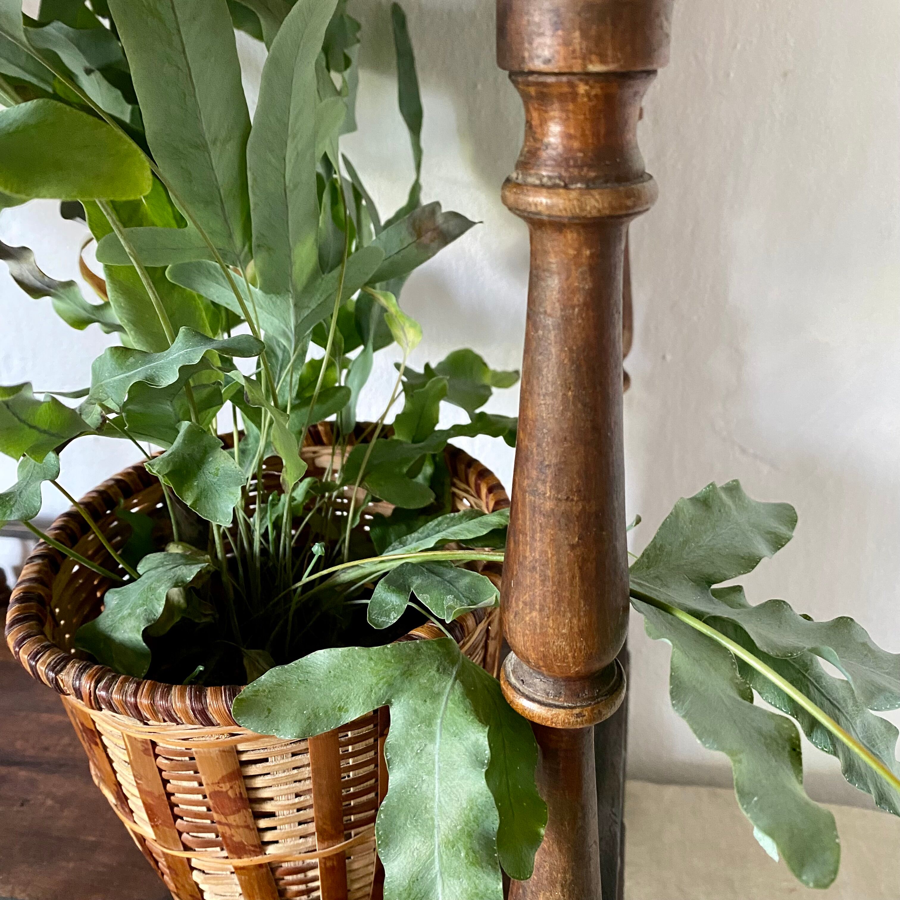 Porte plantes étagères en bois