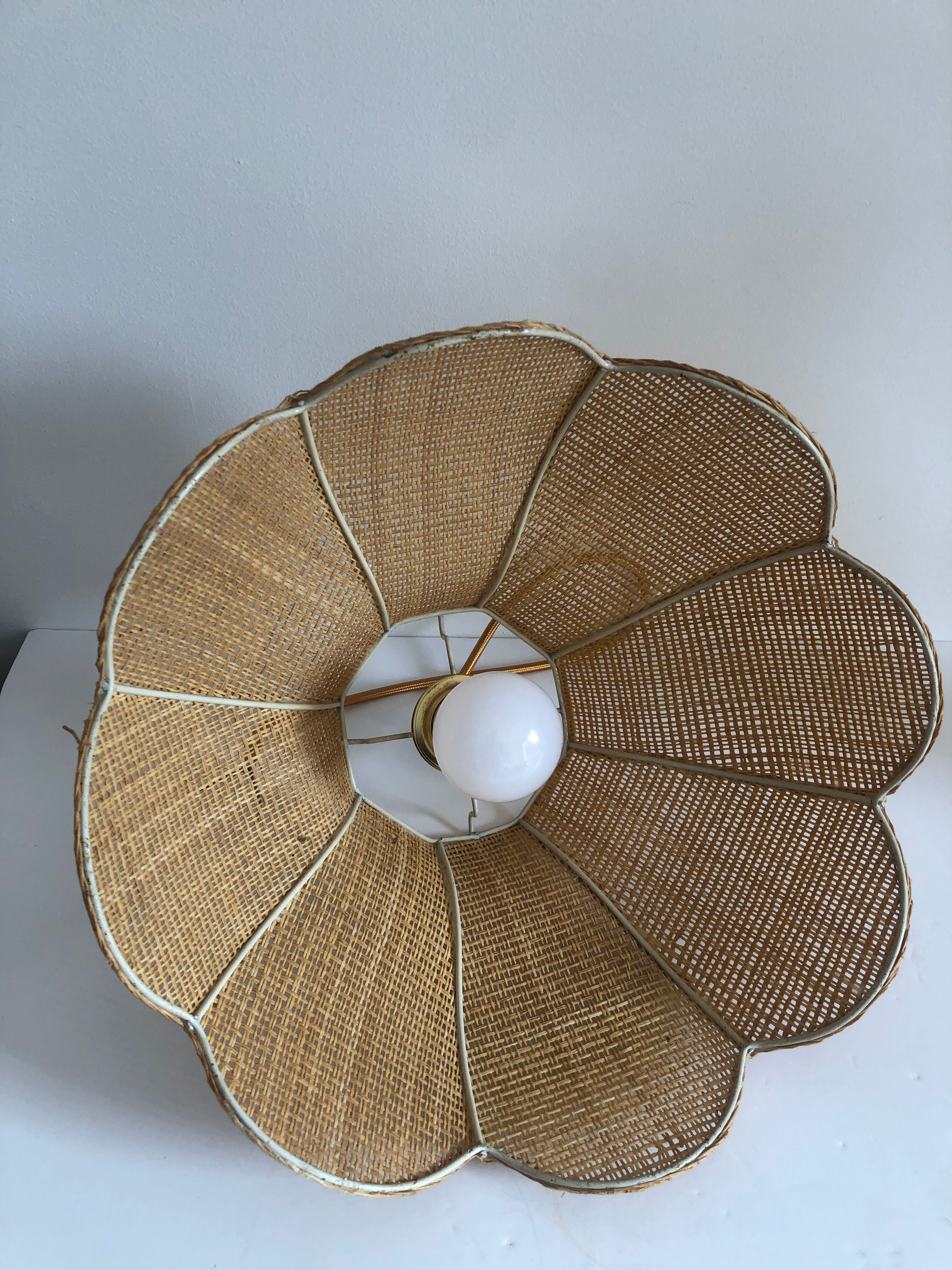 Rattan flower suspension