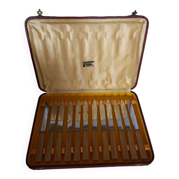 Couteaux dans leur coffret aspect peau de serpent