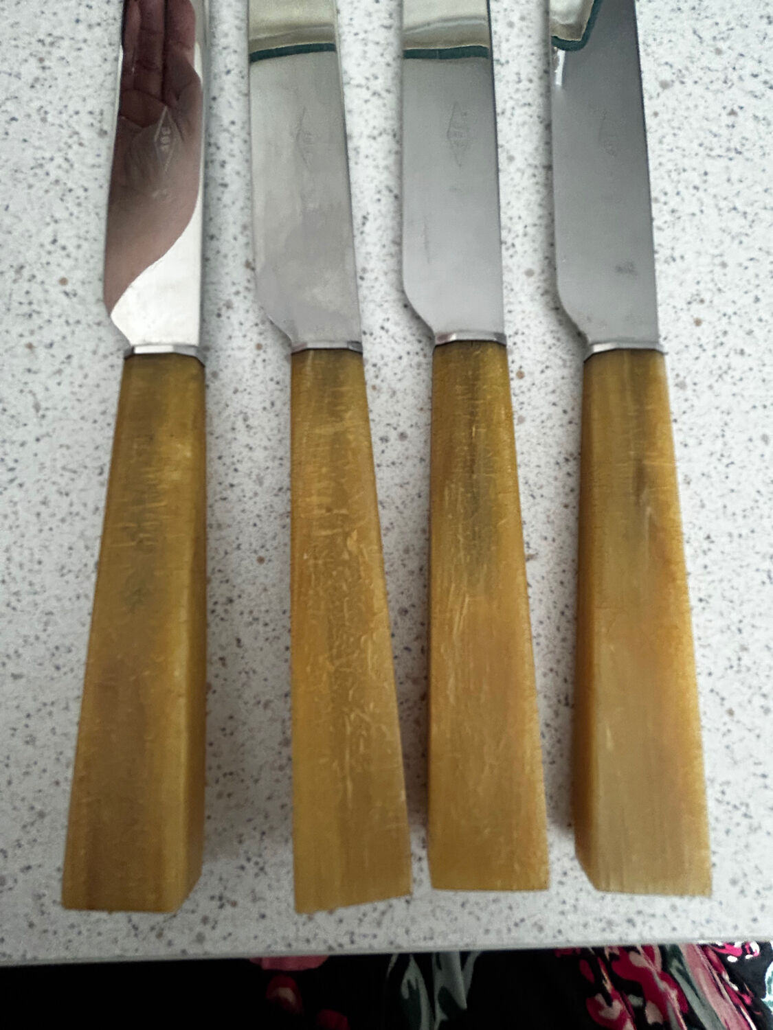 Box of 12 knives with horn handles