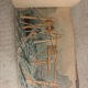 Set of 22 watercolour drawings