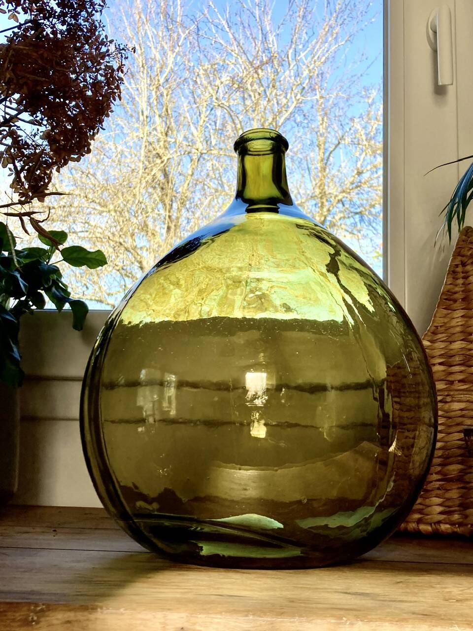 10L demijohn in a pretty olive green