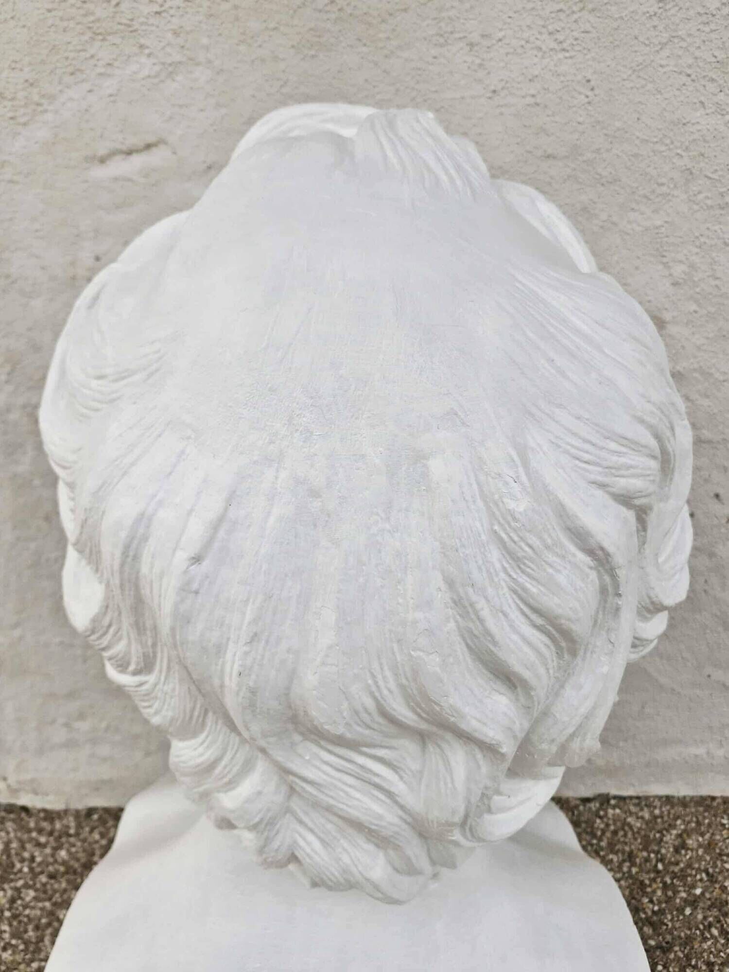 Plaster bust "F. ARAGO / 1839" made by P.J. DAVID (of Angers)