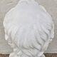 Plaster bust "F. ARAGO / 1839" made by P.J. DAVID (of Angers)