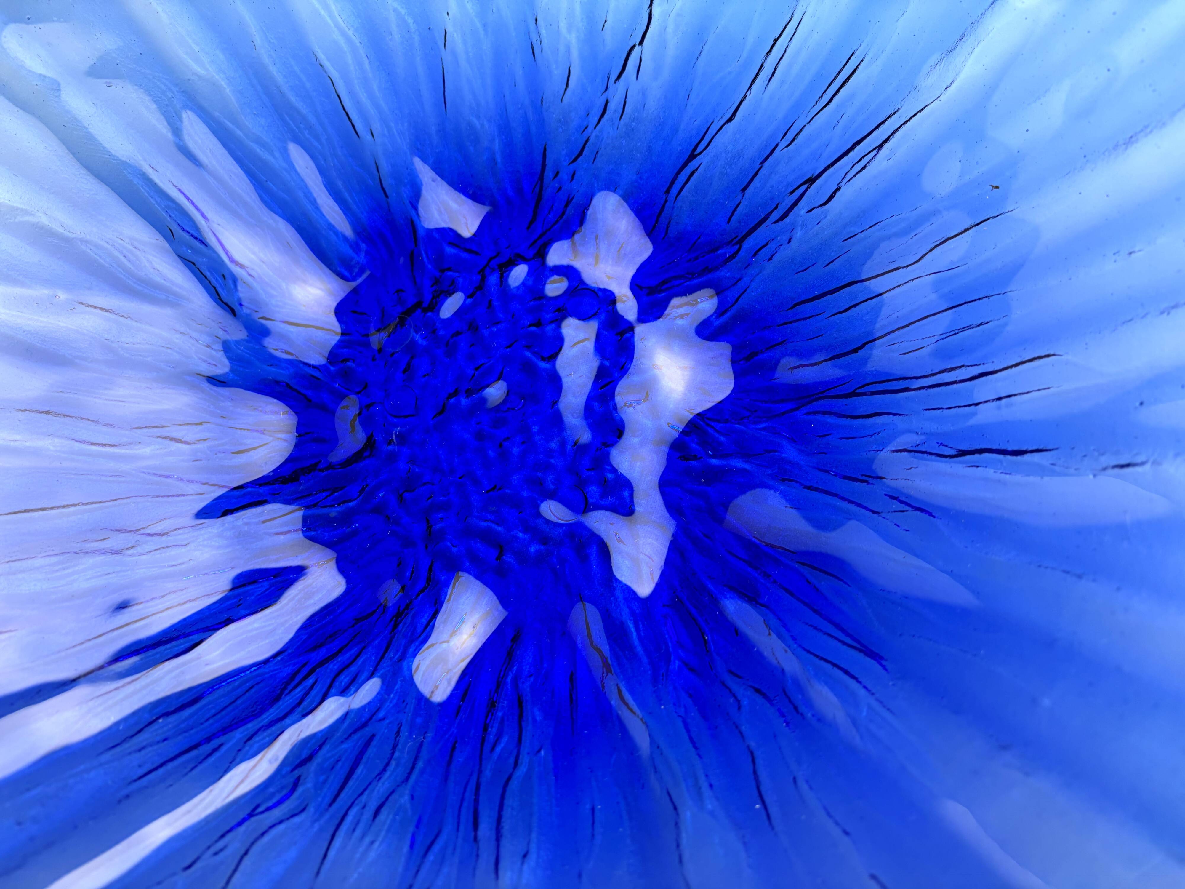 Cobalt blue decorative bowl