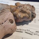 Carved wooden cherub or putto