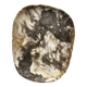 Very large pocket or dish in petrified wood