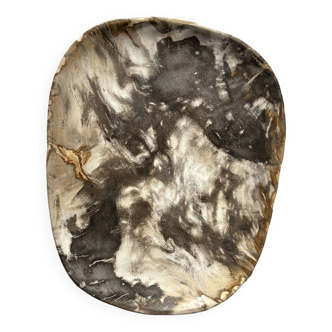 Very large pocket or dish in petrified wood