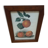 Frame