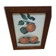 Frame