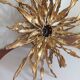 Pair of wall lamps signed moerenhout, belgium 1970s