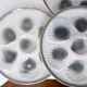 6 vintage oyster plates from Moulin des Loups and Orchies