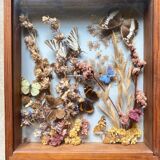 Vintage frame with butterflies and dried flowers