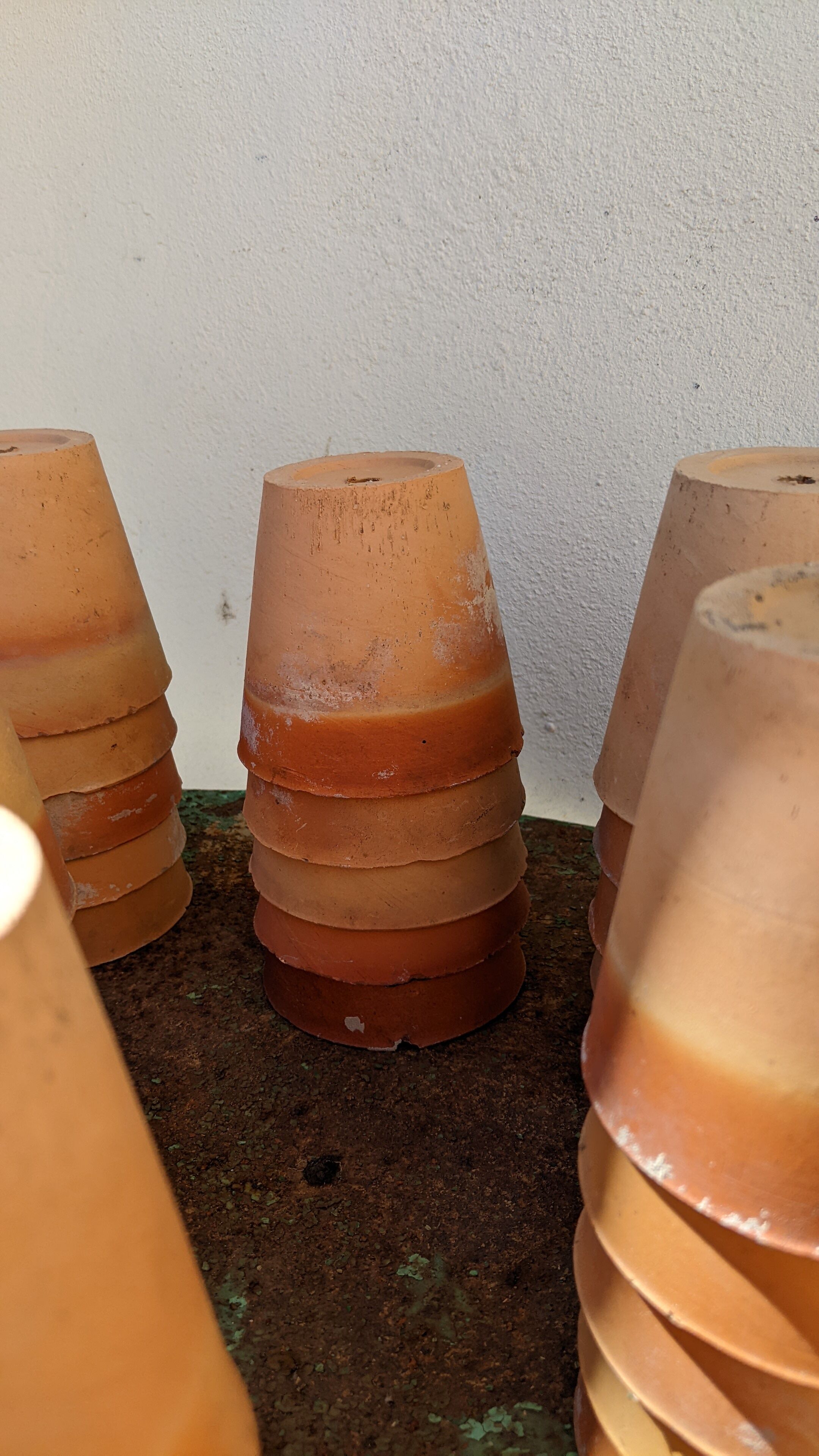 Terracotta pot circa 1930 graineterie
