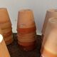 Terracotta pot circa 1930 graineterie