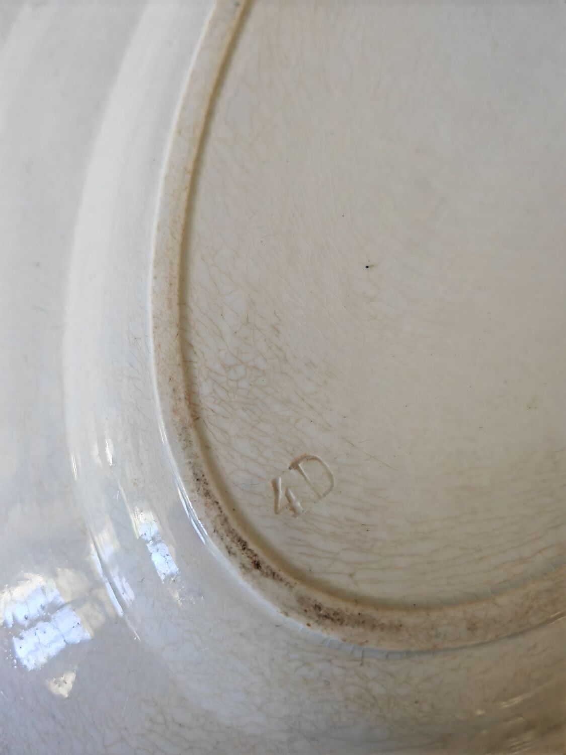 Dish bindweed Pexonne