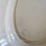 Dish bindweed Pexonne