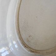 Dish bindweed Pexonne