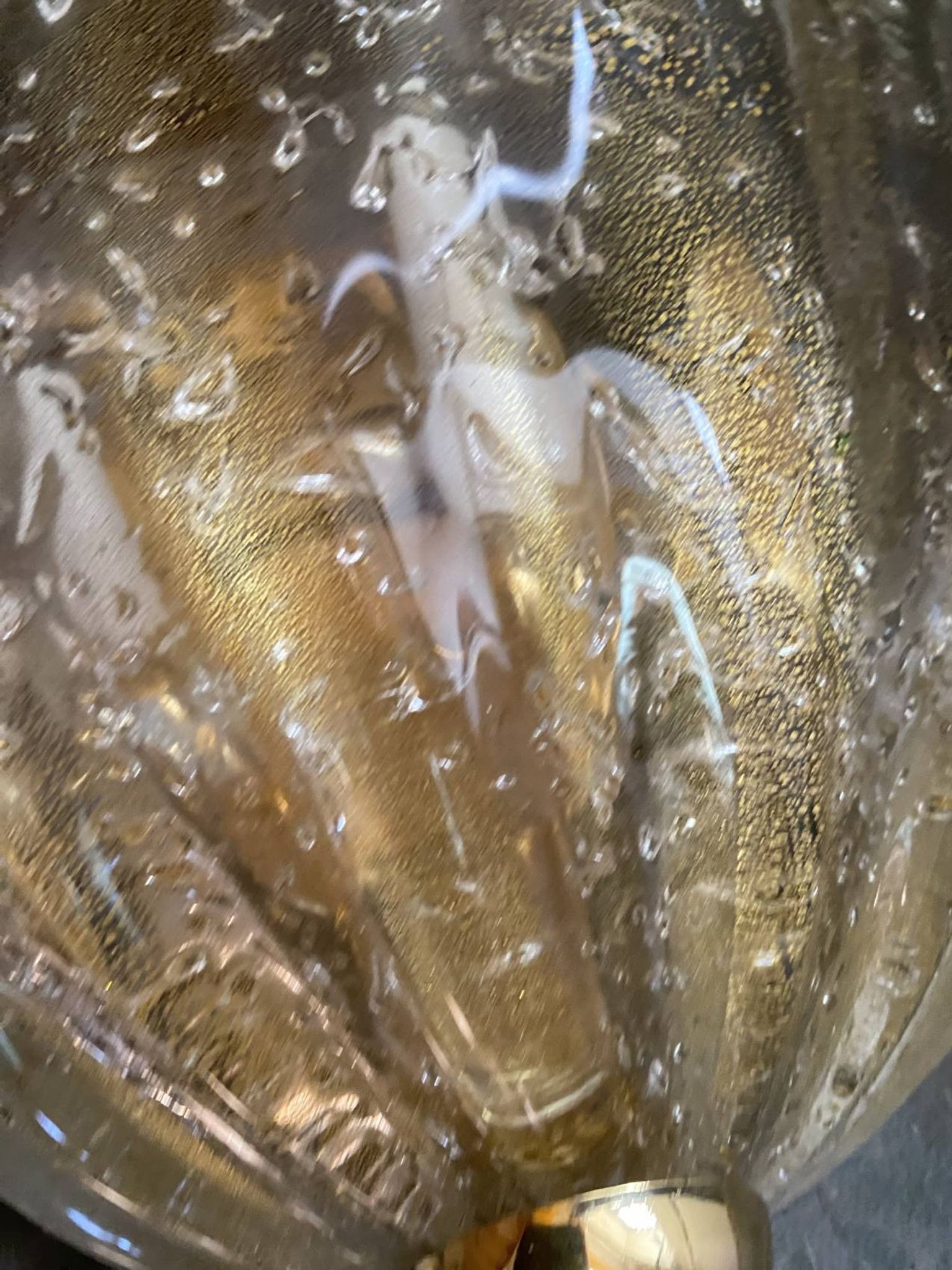 XXL pair of Murano glass wall lights – 1960s