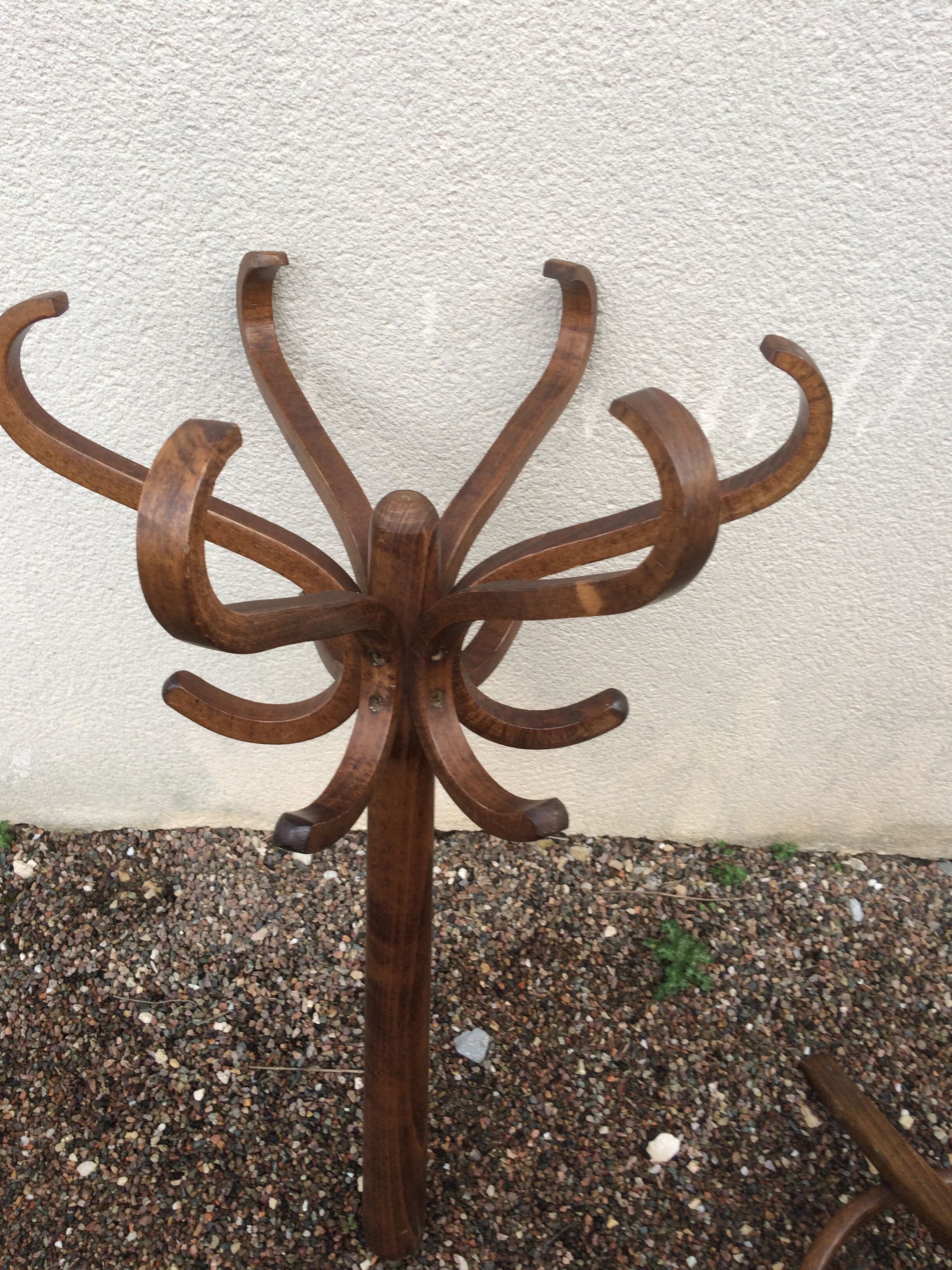 Baumann parrot coat holder